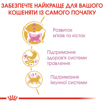 Сухий корм для кошенят породи британська короткошерста Royal Canin Kitten British Shorthair 400 г (домашня птиця) Сухий корм для кошенят породи британська короткошерста Royal Canin Kitten British Shorthair 400 г (домашня птиця)