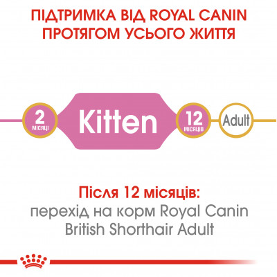 Сухий корм для кошенят породи британська короткошерста Royal Canin Kitten British Shorthair 400 г (домашня птиця) Сухий корм для кошенят породи британська короткошерста Royal Canin Kitten British Shorthair 400 г (домашня птиця)