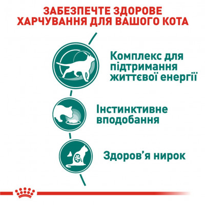 Вологий корм для літніх котів Royal Canin Instinctive Gravy 7+ pouch 85 г, 3+1 шт у подарунок (домашня птиця) Вологий корм для літніх котів Royal Canin Instinctive Gravy 7+ pouch 85 г, 3+1 шт у подарунок (домашня птиця)