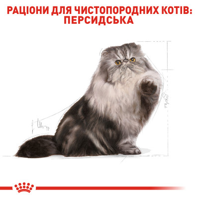 Сухий корм для дорослих котів перської породи Royal Canin Persian Adult 2 кг (домашня птиця) Сухий корм для дорослих котів перської породи Royal Canin Persian Adult 2 кг (домашня птиця)