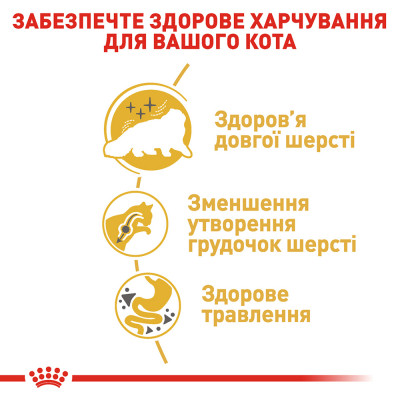 Сухий корм для дорослих котів перської породи Royal Canin Persian Adult 2 кг (домашня птиця) Сухий корм для дорослих котів перської породи Royal Canin Persian Adult 2 кг (домашня птиця)