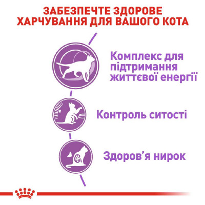 Сухий корм для літніх стерилізованих котів, схильних до випрошування корму Royal Canin Sterilised Appetite Control 7+, 1,5 кг (домашня птиця) Сухий корм для літніх стерилізованих котів, схильних до випрошування корму Royal Canin Sterilised Appetite Control 7+, 1,5 кг (домашня птиця)