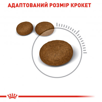 Сухой корм для кошек, шерсть которых требует дополнительного ухода Royal Canin Hair & Skin 4 кг (домашняя птица) Сухой корм для кошек, шерсть которых требует дополнительного ухода Royal Canin Hair & Skin 4 кг (домашняя птица)