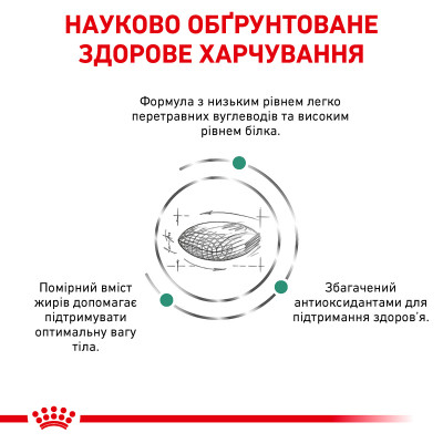 Сухий корм для котів, при цукровому діабеті Royal Canin Diabetic 1,5 кг (домашня птиця) Сухий корм для котів, при цукровому діабеті Royal Canin Diabetic 1,5 кг (домашня птиця)