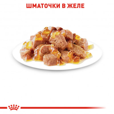 Вологий корм для котів Royal Canin Instinctive Jelly pouch 85 г (домашня птиця)