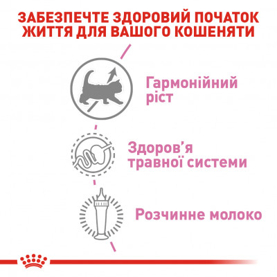 Замінник молока для кошенят Royal Canin Babycat Milk, 300 г Замінник молока для кошенят Royal Canin Babycat Milk, 300 г