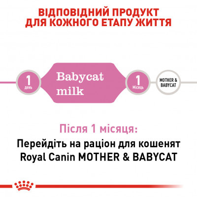Замінник молока для кошенят Royal Canin Babycat Milk, 300 г Замінник молока для кошенят Royal Canin Babycat Milk, 300 г