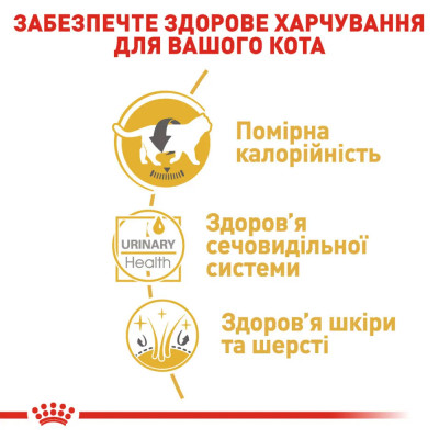 Вологий корм для дорослих котів породи британська короткошерста Royal Canin British Shorthair Adult Gravy pouch 85г, 3+1 шт у подарунок (домашня птиця) Вологий корм для дорослих котів породи британська короткошерста Royal Canin British Shorthair Adult Gravy pouch 85г, 3+1 шт у подарунок (домашня птиця)