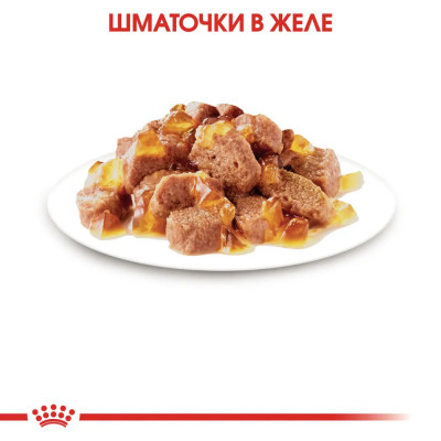 Вологий корм для стерилізованих котів Royal Canin Sterilised Jelly pouch 85г, 3+1 шт у подарунок (домашня птиця) Вологий корм для стерилізованих котів Royal Canin Sterilised Jelly pouch 85г, 3+1 шт у подарунок (домашня птиця)