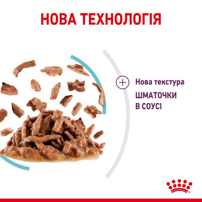 Вологий корм для котів для стимуляції тактильних рецепторів ротової порожнини Royal Sensory Feel pouch у соусі 85 г Вологий корм для котів для стимуляції тактильних рецепторів ротової порожнини Royal Sensory Feel pouch у соусі 85 г