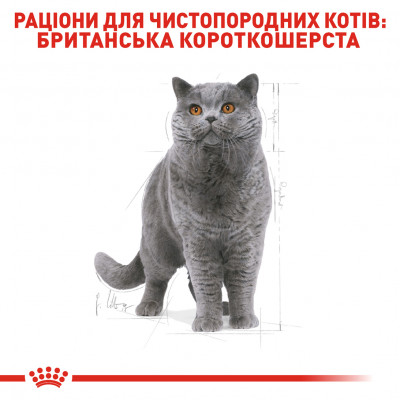 Сухий корм для дорослих котів породи британська короткошерста Royal Canin British Shorthair Adult 400 г (домашня птиця) Сухий корм для дорослих котів породи британська короткошерста Royal Canin British Shorthair Adult 400 г (домашня птиця)