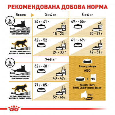 Сухий корм для дорослих котів породи британська короткошерста Royal Canin British Shorthair Adult 400 г (домашня птиця) Сухий корм для дорослих котів породи британська короткошерста Royal Canin British Shorthair Adult 400 г (домашня птиця)