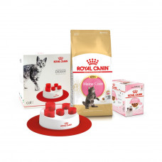 Сухий корм для кошенят породи мейн-кун Royal Canin Maine Coon Kitten | 2 кг + 12 шт х 85 г паучів вологого корму для котів + інтерактивна годівничка