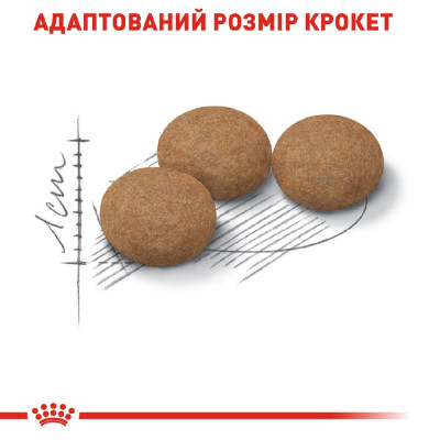 Сухий корм для літніх стерилізованих котів Royal Canin Sterilised Ageing 12+, 2 кг (домашня птиця) Сухий корм для літніх стерилізованих котів Royal Canin Sterilised Ageing 12+, 2 кг (домашня птиця)