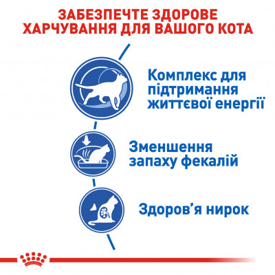Сухой корм для кошек, живущих в помещении Royal Canin Indoor 7+, 3,5 кг (домашняя птица) Сухой корм для кошек, живущих в помещении Royal Canin Indoor 7+, 3,5 кг (домашняя птица)
