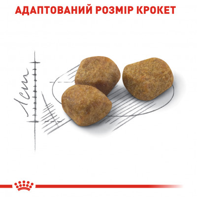 Сухой корм для кошек, живущих в помещении Royal Canin Indoor 7+, 3,5 кг (домашняя птица) Сухой корм для кошек, живущих в помещении Royal Canin Indoor 7+, 3,5 кг (домашняя птица)