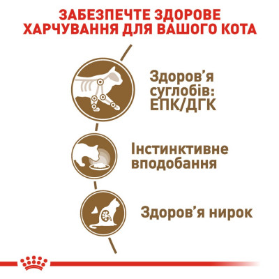 Вологий корм для літніх котів Royal Canin Ageing 12+, 85 г (домашня птиця)