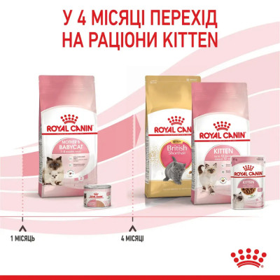 Сухий корм для кошенят Royal Canin Mother & Babycat 1,6 кг + 400 г у подарунок (домашня птиця) Сухий корм для кошенят Royal Canin Mother & Babycat 1,6 кг + 400 г у подарунок (домашня птиця)