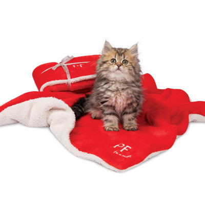 Плед Pet Fashion «New Year Gift» 75 см / 60 см (червоний)