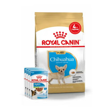 Сухий корм цуценят породи Чихуахуа Royal Canin Puppy Chihuahua 1,5 кг + 4 паучі вологого корму в ПОДАРУНОК (домашня птиця)
