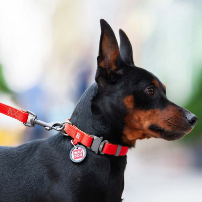 Ошейник Collar WAUDOG Waterproof с QR-паспортом 24-40 см / 20 мм (красный) Ошейник Collar WAUDOG Waterproof с QR-паспортом 24-40 см / 20 мм (красный)