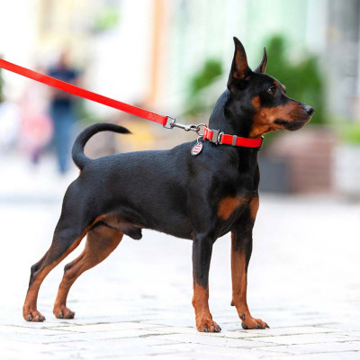 Ошейник Collar WAUDOG Waterproof с QR-паспортом 24-40 см / 20 мм (красный) Ошейник Collar WAUDOG Waterproof с QR-паспортом 24-40 см / 20 мм (красный)