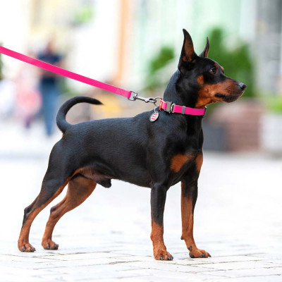 Нашийник Collar WAUDOG Waterproof з QR-паспортом 24-40 см/20 мм (рожевий) Нашийник Collar WAUDOG Waterproof з QR-паспортом 24-40 см/20 мм (рожевий)