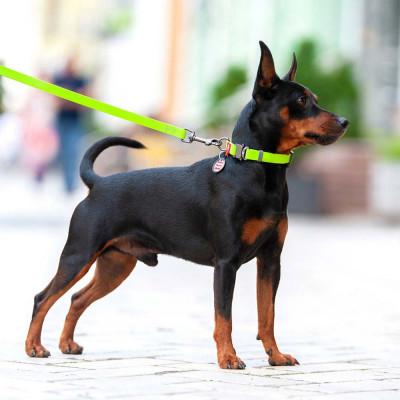 Нашийник Collar WAUDOG Waterproof з QR-паспортом 24-40 см/20 мм (салатовий) Нашийник Collar WAUDOG Waterproof з QR-паспортом 24-40 см/20 мм (салатовий)