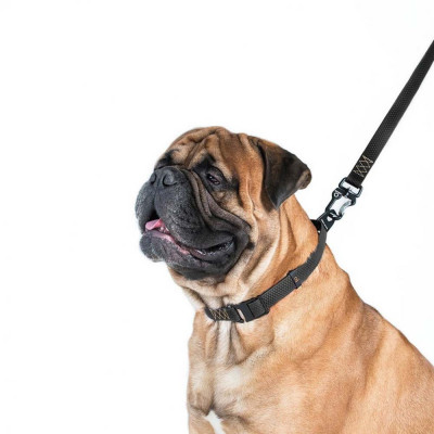 Нашийник Collar Еволютор 25-70 см/25 мм (чорний)