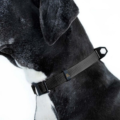 Нашийник Collar Еволютор 25-70 см/25 мм (чорний)