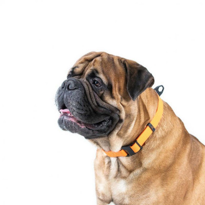 Нашийник Collar Еволютор 25-70 см/25 мм (помаранчевий)