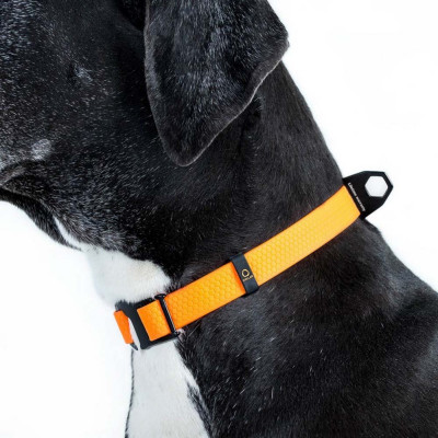 Нашийник Collar Еволютор 25-70 см/25 мм (помаранчевий)