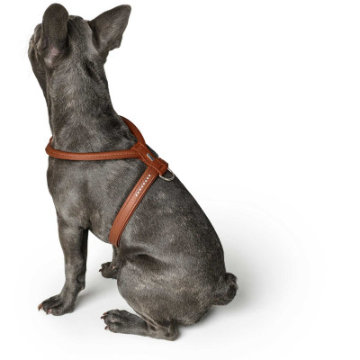 Шлея Hunter шкіряна «Harness Round & Soft Luxus Elk Petit» 32-38 см / 6-14 мм (коричневий) Шлея Hunter шкіряна «Harness Round & Soft Luxus Elk Petit» 32-38 см / 6-14 мм (коричневий)