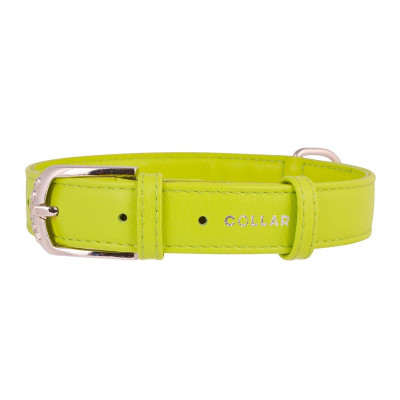 Нашийник Collar шкіряний «Glamour» (Гламур) 19-25 см / 9 мм (зелений)