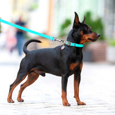 Нашийник Collar WAUDOG Waterproof водостійкий з QR-паспортом 24-40 см / 20 мм (ментоловий)