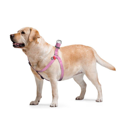 Шлея-петля світловідбивна Collar WAUDOG Re-cotton з QR-паспортом M, 50-80 см / 20 мм (рожева) Шлея-петля світловідбивна Collar WAUDOG Re-cotton з QR-паспортом M, 50-80 см / 20 мм (рожева)