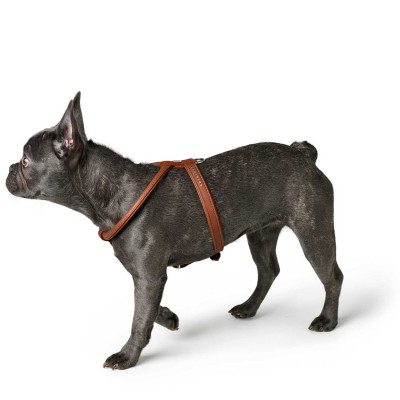 Шлея Hunter шкіряна «Harness Round & Soft Luxus Elk Petit» 45-51 см / 8-18 мм (коричневий) Шлея Hunter шкіряна «Harness Round & Soft Luxus Elk Petit» 45-51 см / 8-18 мм (коричневий)
