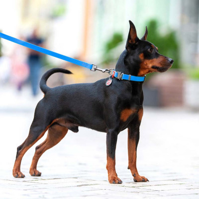 Нашийник Collar WAUDOG Waterproof з QR-паспортом 24-40 см/20 мм (блакитний) Нашийник Collar WAUDOG Waterproof з QR-паспортом 24-40 см/20 мм (блакитний)