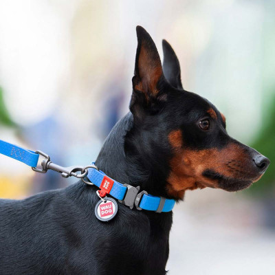 Нашийник Collar WAUDOG Waterproof з QR-паспортом 24-40 см/20 мм (блакитний) Нашийник Collar WAUDOG Waterproof з QR-паспортом 24-40 см/20 мм (блакитний)