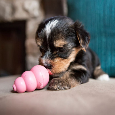 Іграшка для цуценят груша-годівниця Kong Puppy 5,72 см XS Іграшка для цуценят груша-годівниця Kong Puppy 5,72 см XS