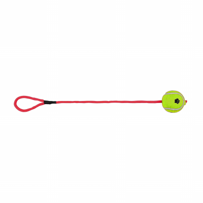 Игрушка для собак Trixie Мяч теннисный на верёвке с ручкой 50 см, d=6 см (цвета в ассортименте) Игрушка для собак Trixie Мяч теннисный на верёвке с ручкой 50 см, d=6 см (цвета в ассортименте)
