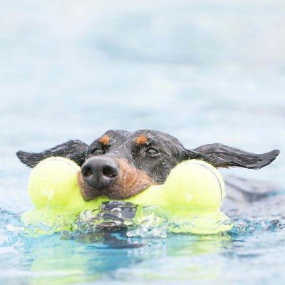 Іграшка для собак повітряна кістка Kong AirDog Squeaker Bone 11,4 см S Іграшка для собак повітряна кістка Kong AirDog Squeaker Bone 11,4 см S