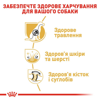 Сухий корм для собак породи німецька вівчарка віком від 15 місяців Royal Canin German Shepherd Adult 11 кг (домашній птах) Сухий корм для собак породи німецька вівчарка віком від 15 місяців Royal Canin German Shepherd Adult 11 кг (домашній птах)