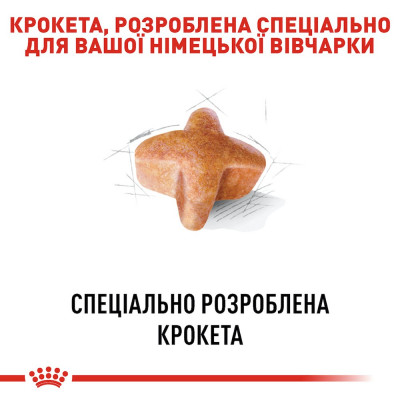Сухий корм для собак породи німецька вівчарка віком від 15 місяців Royal Canin German Shepherd Adult 11 кг (домашній птах) Сухий корм для собак породи німецька вівчарка віком від 15 місяців Royal Canin German Shepherd Adult 11 кг (домашній птах)