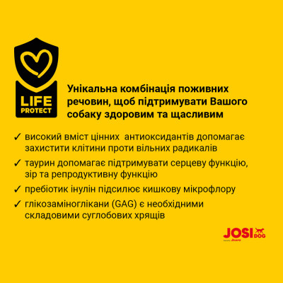 Сухий корм для дорослих собак безглютеновий Josera JosiDog Active 15 кг (домашня птиця) Сухий корм для дорослих собак безглютеновий Josera JosiDog Active 15 кг (домашня птиця)