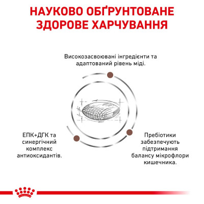 Сухой корм для собак, при заболеваниях печени Royal Canin Hepatic 1,5 кг (домашняя птица) Сухой корм для собак, при заболеваниях печени Royal Canin Hepatic 1,5 кг (домашняя птица)