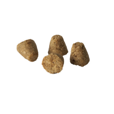 Сухий корм Oven-Baked Tradition Dog Small Breed Grain Free 1 кг - червоне мʼясо Сухий корм Oven-Baked Tradition Dog Small Breed Grain Free 1 кг - червоне мʼясо