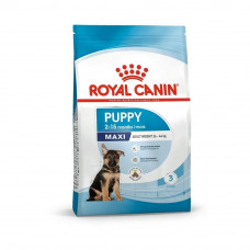 Сухий корм для цуценят Royal Canin Maxi Puppy 15 кг (домашня птиця)