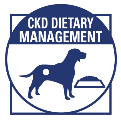 Сухий корм для собак, при захворюваннях нирок Royal Canin Renal 2 кг (домашня птиця) Сухий корм для собак, при захворюваннях нирок Royal Canin Renal 2 кг (домашня птиця)