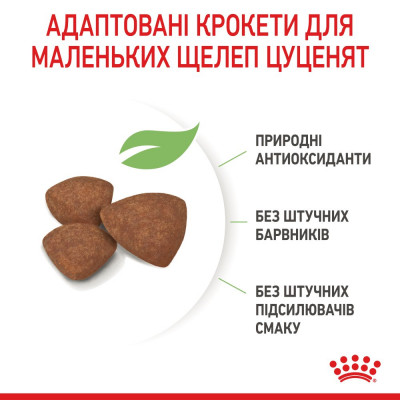 Сухий корм для цуценят дрібних порід Royal Canin Mini Puppy 1,6 кг + 400 г у подарунок (домашня птиця) Сухий корм для цуценят дрібних порід Royal Canin Mini Puppy 1,6 кг + 400 г у подарунок (домашня птиця)